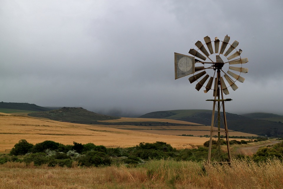 Go green while traveling - 7 quick tips to make your travel plans more green